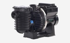 PENTAIR STA-RITE INTELLIPRO VS PUMP 3 HP - 013004