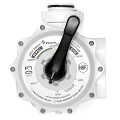 PENTAIR SIDE MOUNT 2" MULTIPORT D.E. - 261152
