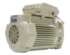 PENT MOTOR RPLMENT .75 HP - BLACK - 354804S