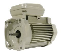 PENTAIR MOTOR RPLMENT 1 HP 3 PH - ALMD - 354805S