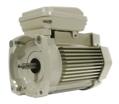 PENTAIR MOTOR RPLMENT 1 HP 3 PH - ALMD - 354805S