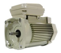 PENT MOTOR RPLMENT 1.5 HP - ALMOND - 354823S