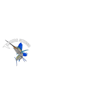 FLORIDA STUCCO